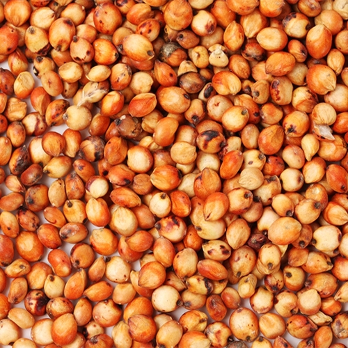 Produto sorgo