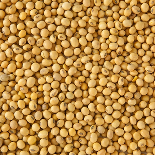 Produto soja